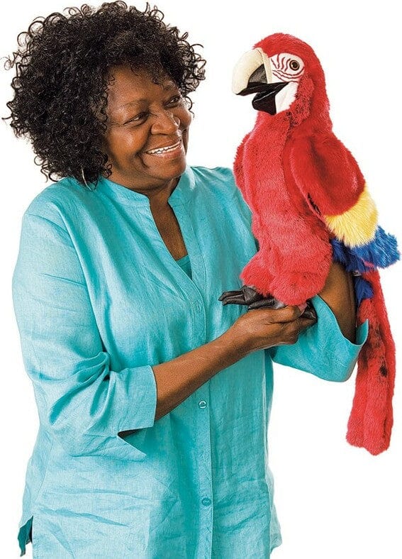 Scarlet Macaw - Image 5