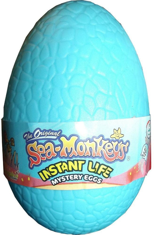 Sea Monkey Eggs Instant