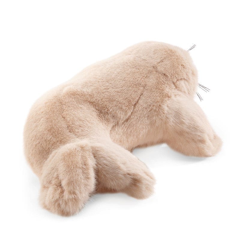 Seal, Harp Pup - Image 3