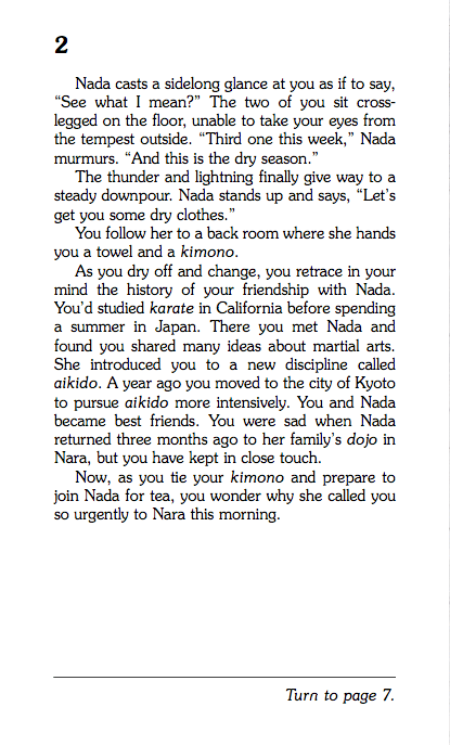 Secret Of The Ninja, Children's Book - Image 4