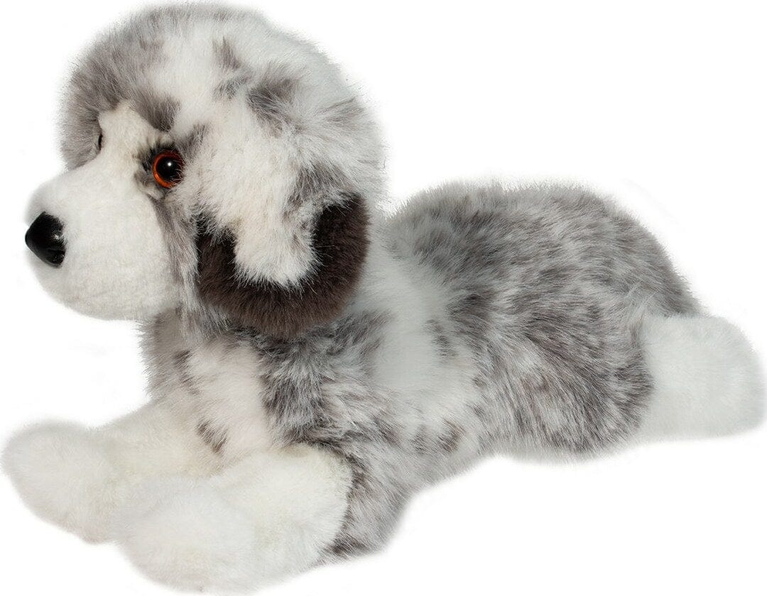 Skylar Australian Shepherd - Image 3