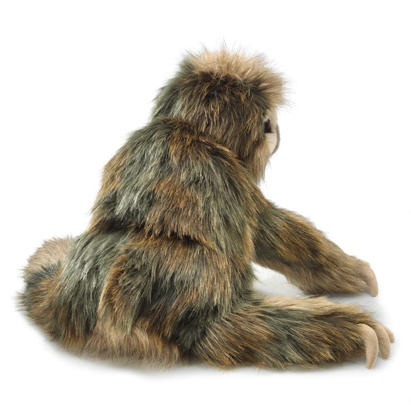 Sloth, Three-Toed - Image 2