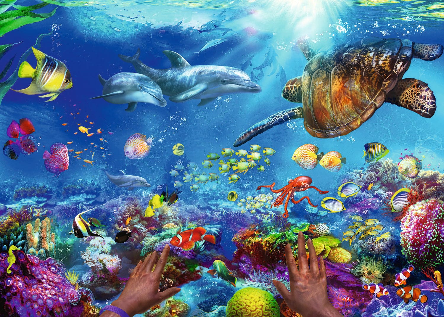 Snorkeling - Image 2