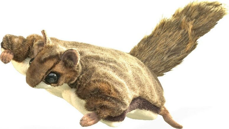 Squirrel, Flying - Image 5