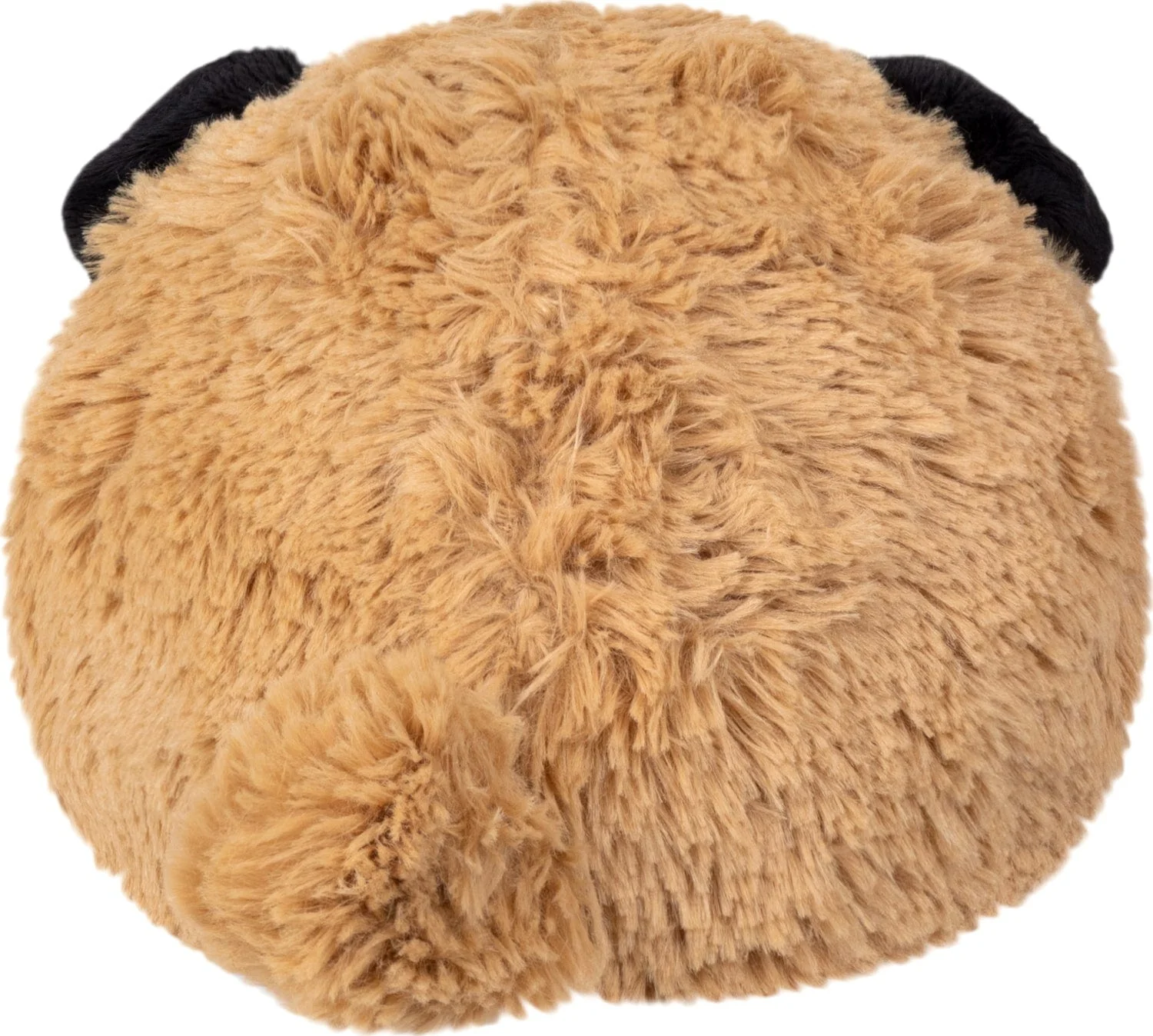 Mini Pug (7") - Image 5