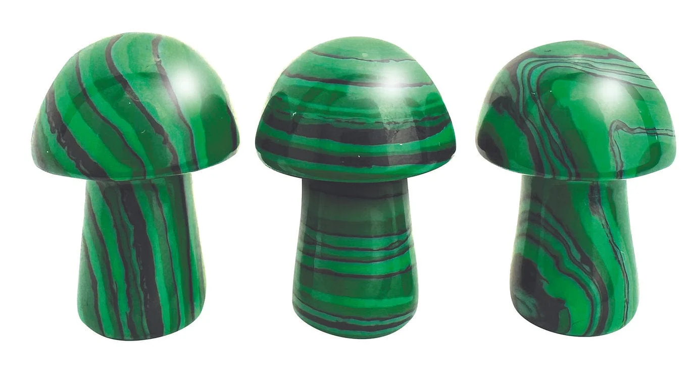 Stat Trackers: 5E ‘Shrooms - Image 8