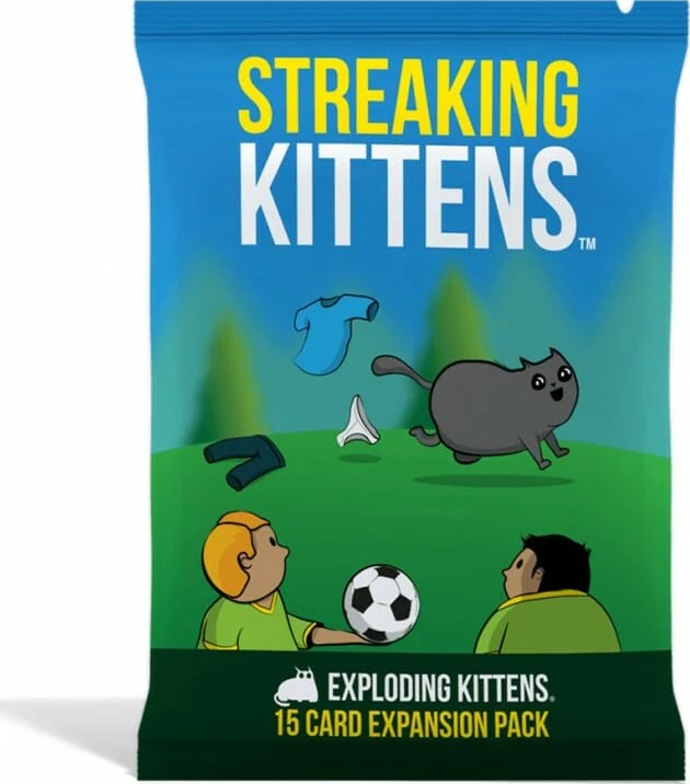 Streaking Kittens - Image 4