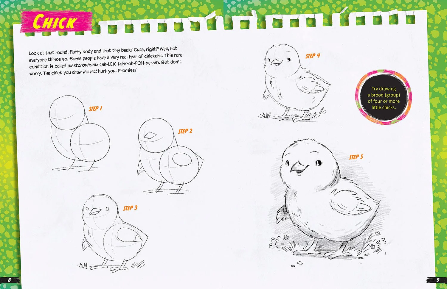 The Girls' Guide to Drawing: Revised and Updated Edition - Image 3
