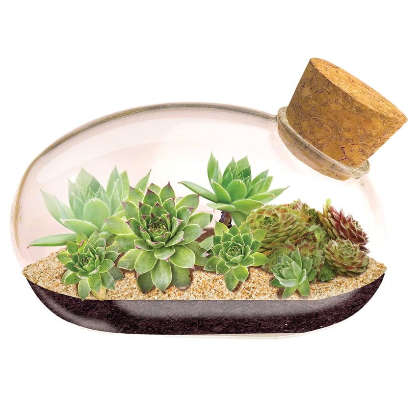 The Mouse Garden - Image 2