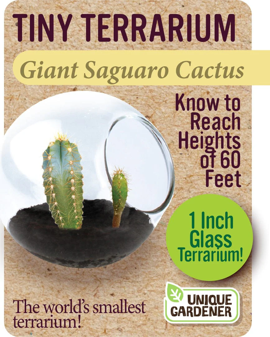 Giant Saguaro