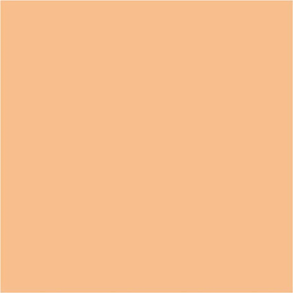 Skin Tone 17mL - Image 3