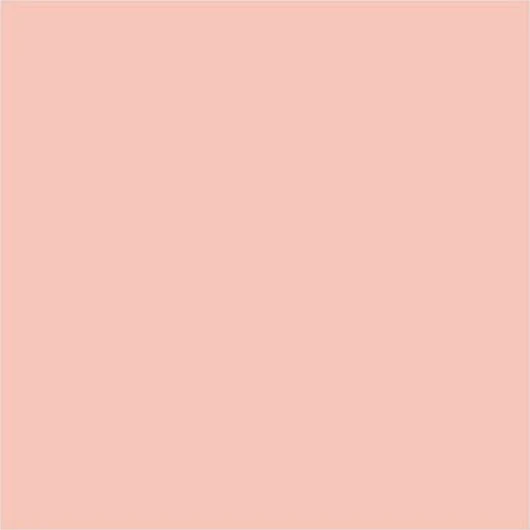 Pale Flesh 17mL - Image 3