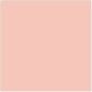 Pale Flesh 17mL - Image 5