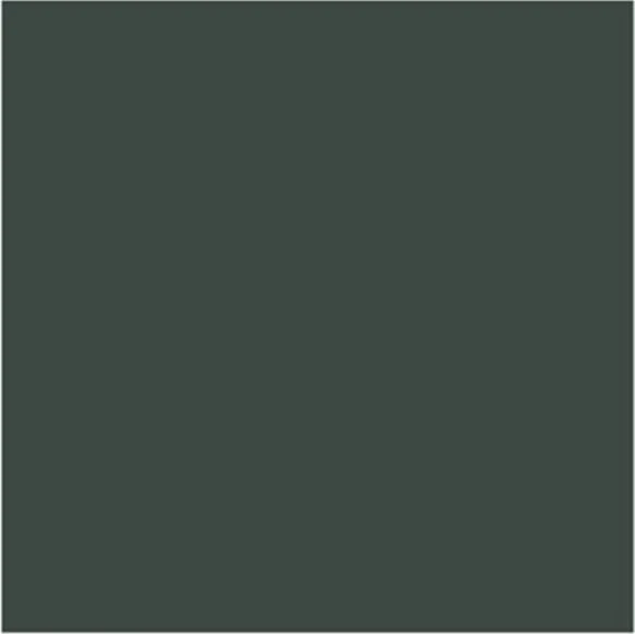 Black Green 17mL - Image 3