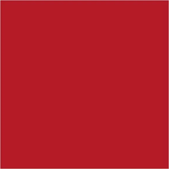 Carmine Red 17mL - Image 3