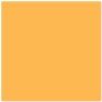 Golden Yellow 17mL - Image 5