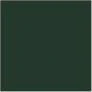 Yellow Olive 17mL - Image 5