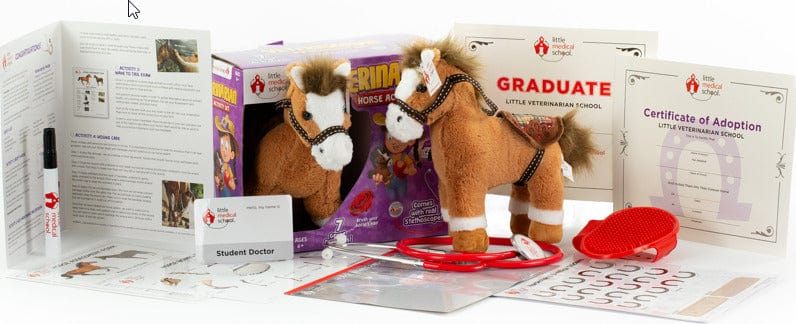 Veterinarian Horse Activity Set - Image 8